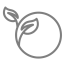 BIODEGRADBLE_17780544